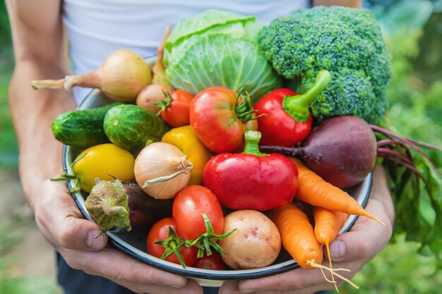 野菜の高角度の視点