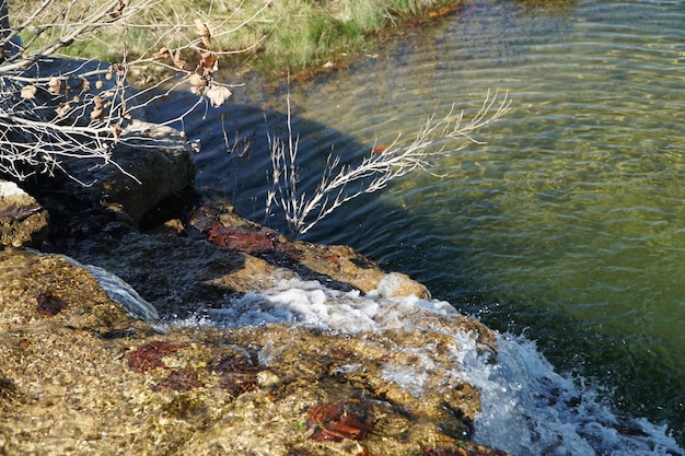 Photo high angle view of water flowing in grass