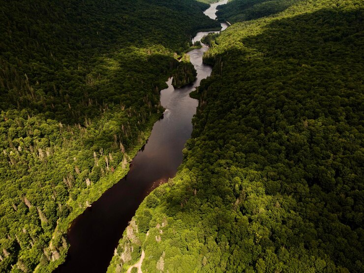 Photo high angle view of water