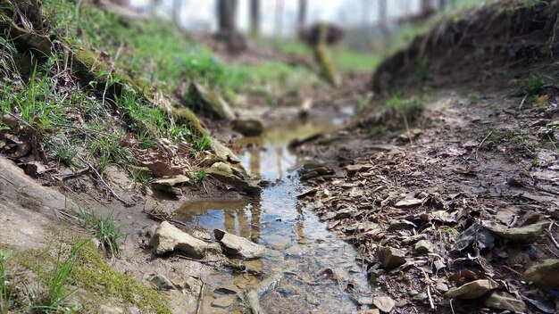 水の高角度の視界