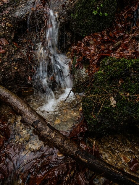 High angle view of waterfall in forest