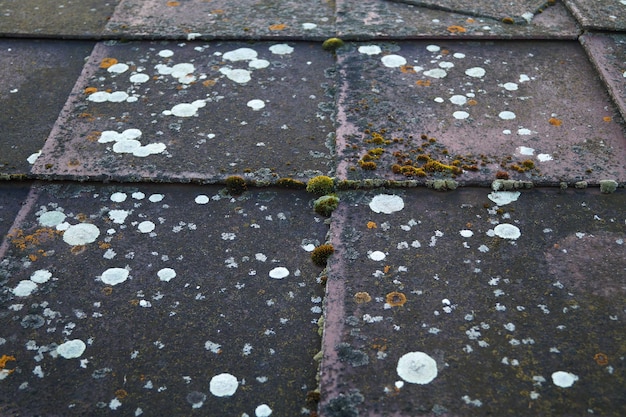 High angle view of weathered footpath