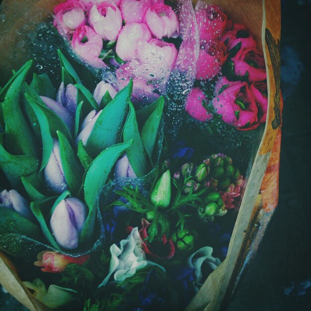 Photo high angle view of wet flower bunches