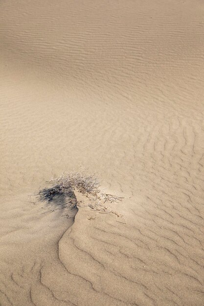 Foto vista ad alto angolo della sabbia bagnata sulla spiaggia