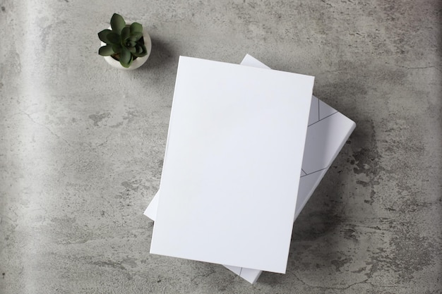 High angle view white cover book with house plant on cement background for mock up