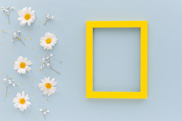 High angle view of white daisy flowers and pollen with yellow boarder blank frame arranged on blue background