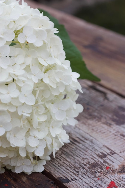 Foto vista ad alto angolo di un fiore bianco sul tavolo