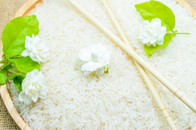 Photo high angle view of white flowering plant