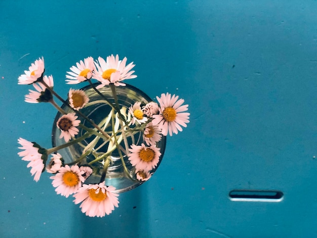 Foto vista ad alta angolazione di fiori bianchi che galleggiano sull'acqua