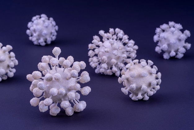 High angle view of white flowers on table