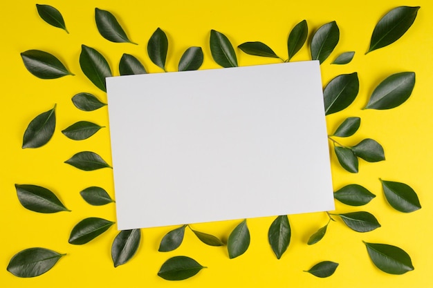 High angle view of white paper on leaves over yellow background