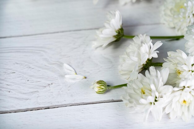 High angle view of white roses on table