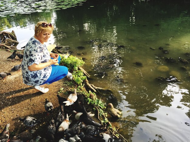 Foto vista ad alto angolo di una donna che nutre i piccioni mentre è seduta vicino al lago