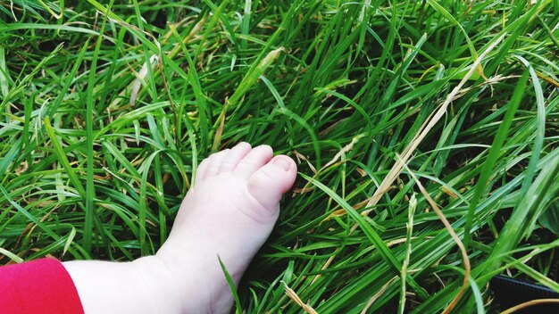 Photo high angle view of woman on grassy field