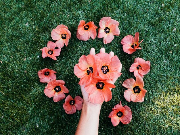 Foto vista ad alta angolazione di una donna con la mano che tiene un fiore