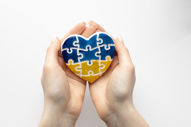 High angle view of woman hands holding ukraine flag painted heart isolated on white background