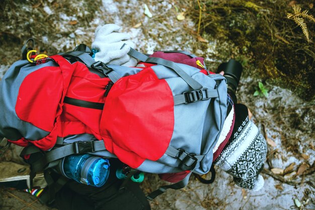 Foto vista ad alta angolazione di una donna che fotografa nella foresta