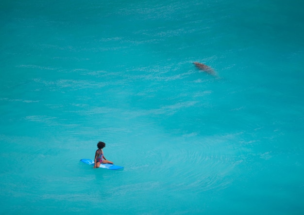 High angle view of woman surfing in sea
