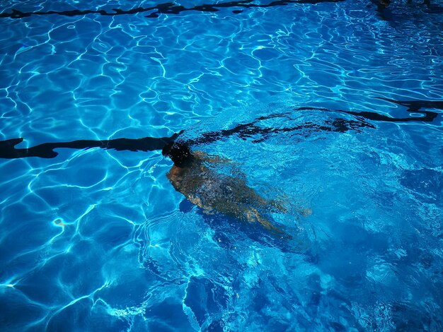 High angle view of woman in swimming pool