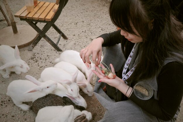 Foto vista ad alta angolazione di una donna con un cane