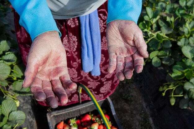 High angle view of woman working