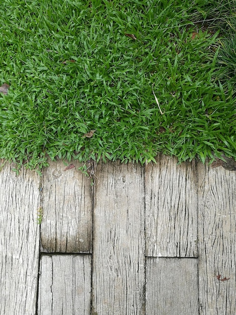 Photo high angle view of wooden footpath on grassy field