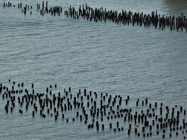 Foto vista ad alta angolazione di pali di legno in mare