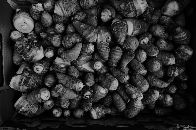 Photo high angle view of yams for sale at market stall