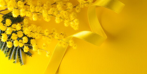 High angle view of yellow flowering plant