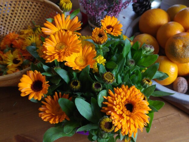 High angle view of yellow flowering plants