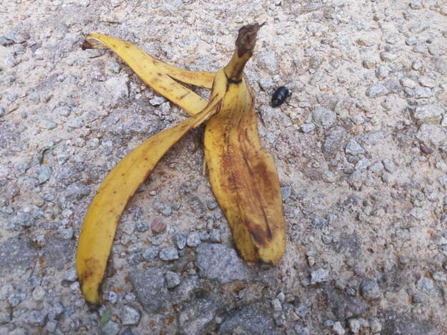 High angle view of yellow leaf on ground