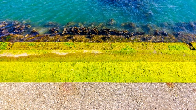 High angle view of yellow snake on grass by sea