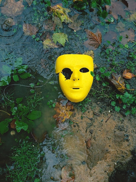 Foto vista ad alto angolo di un giocattolo giallo che galleggia sulla roccia