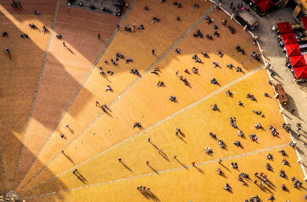 High angle view of zebra crossing