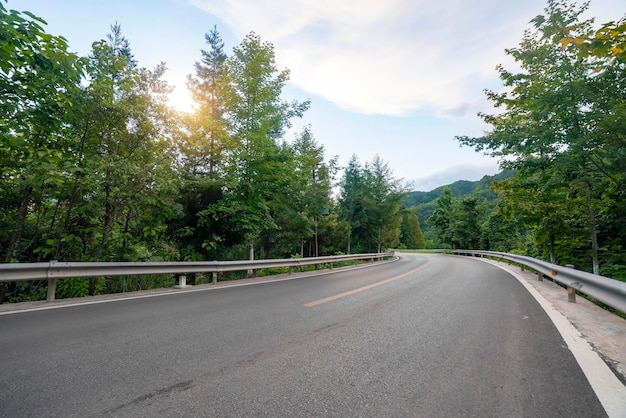 森の中の高いアスファルト道路