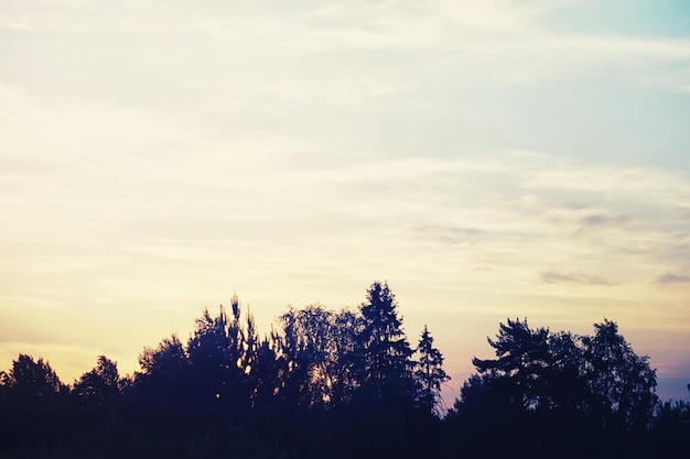 High clouds in the summer sky Sky background Meteorological observations of the sky