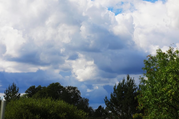 High clouds in the summer sky Sky background Meteorological observations of the sky