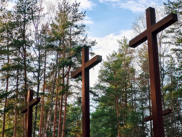 Высокие кресты среди деревьев на польском военном кладбище Мемориал Второй мировой войне