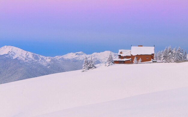 Foto immagine di sfondo bellissima ad alta definizione