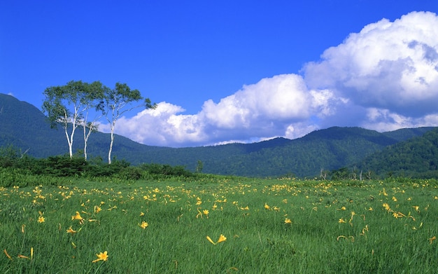 高解像度の美しい背景画像