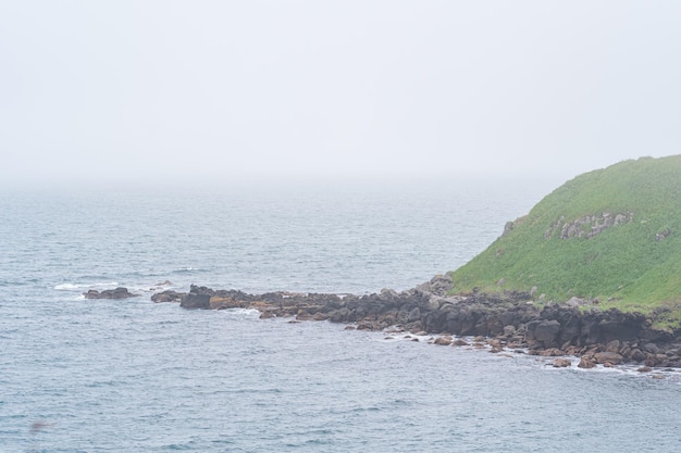 High deserted grassy shore over a cold foggy sea