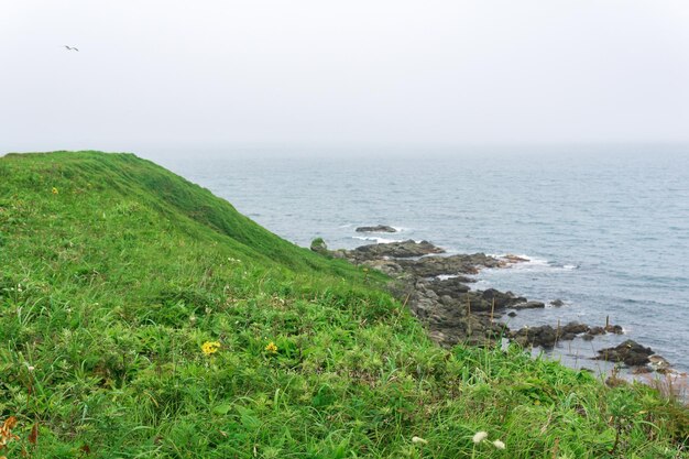 High deserted grassy shore over a cold foggy sea