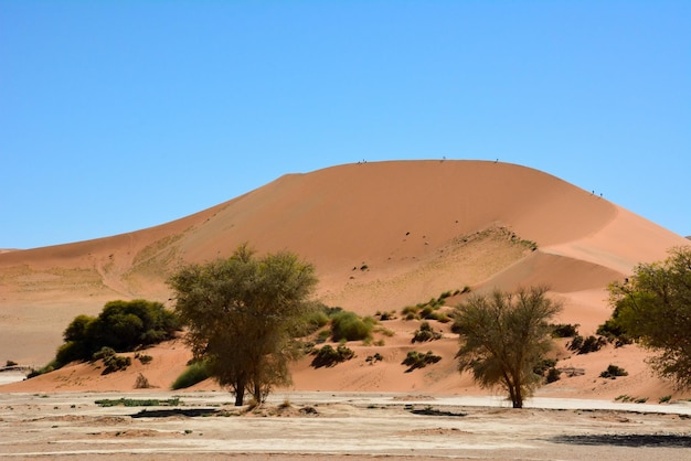 観光客が上から歩く砂漠の高い砂丘 環境脱水と地球規模