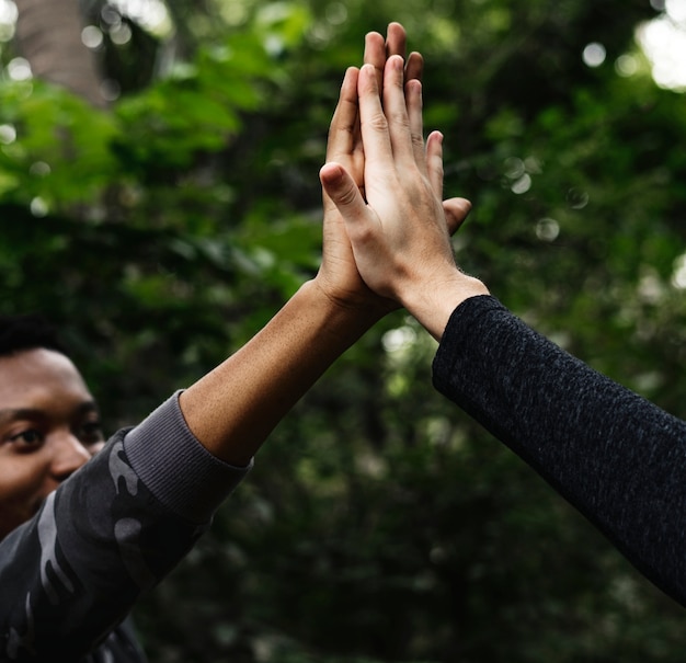 High five in the forest