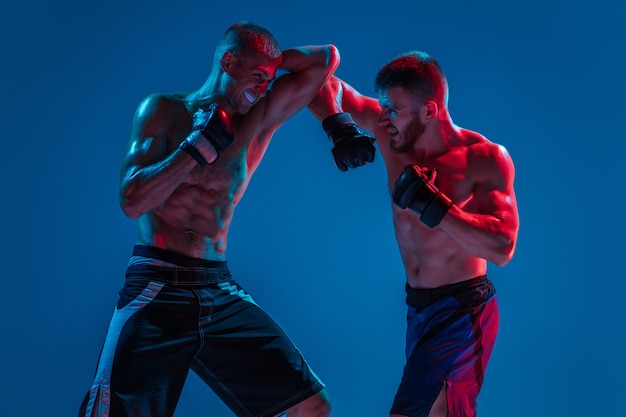 Photo high flight mma professional fighter punching or boxing isolated on blue studio background