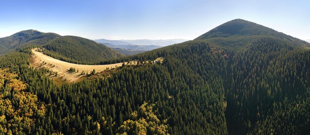 High hills with dark pine woods on autumn bright day. Amazing scenery of wild mountain woodland.