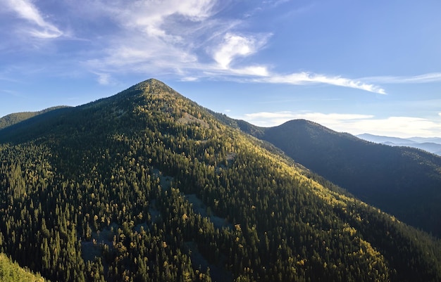 High hills with dark pine woods on autumn bright day Amazing scenery of wild mountain woodland