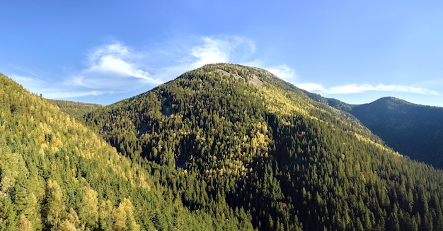 高い丘と暗い松の森は,明るい秋の日に,野生の山の森の素晴らしい風景