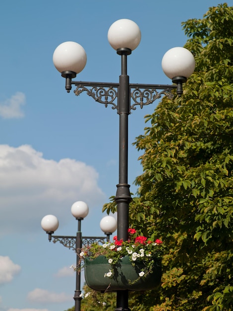 high lights in the city park