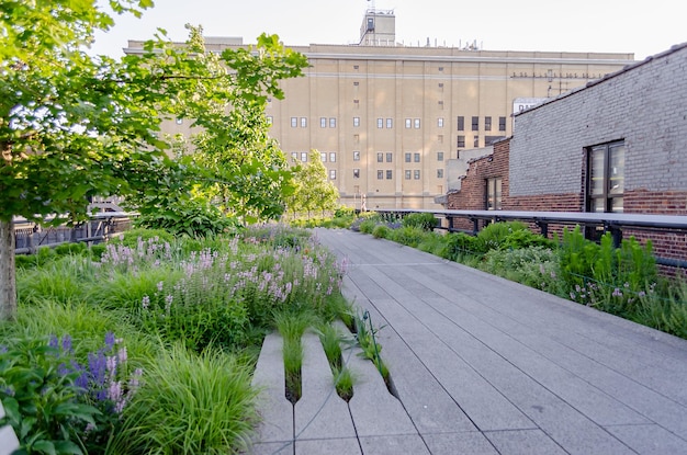 High Line Park в центре Манхэттена, Нью-Йорк, США